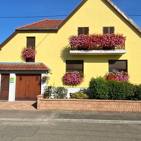 Alsace Clim Pres Colmar Jardin Balcon Parking Garage Velos, Motos Oberhergheim Exterior photo